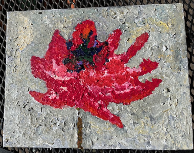 A red and white flower against a light gray background